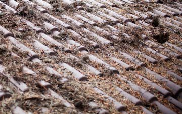 Morristown roof cleaning companies